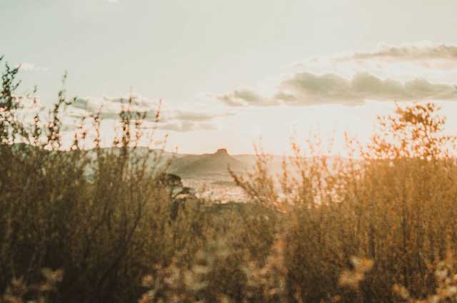 Landscape View of Mountains in the Distance Seen Through Bushes